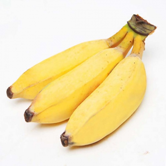 Chuối sứ (chuối xiêm) chín VietGAP, trồng tự nhiên
